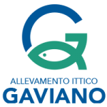 GAVIANO_logo_retina GAVIANO_logo_retina