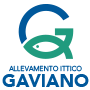 GAVIANO_logo